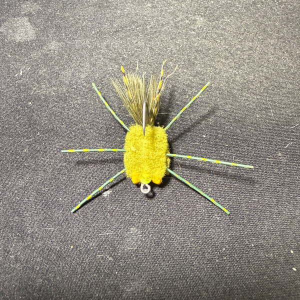 Casa Blanca (Raghead) Crab