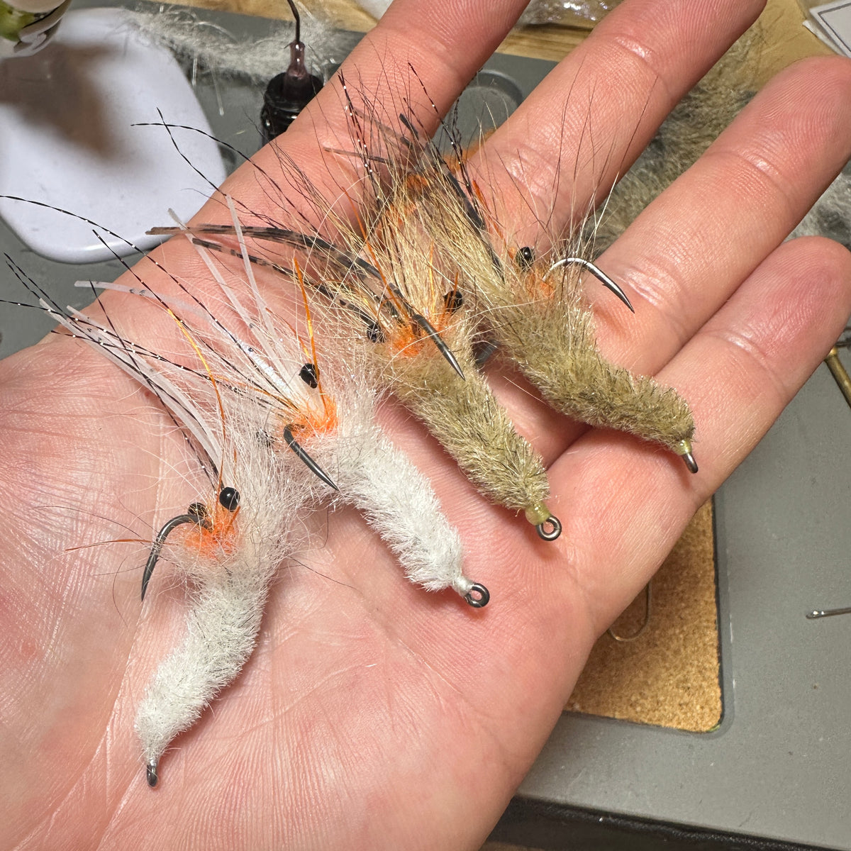 Coyote Shrimp